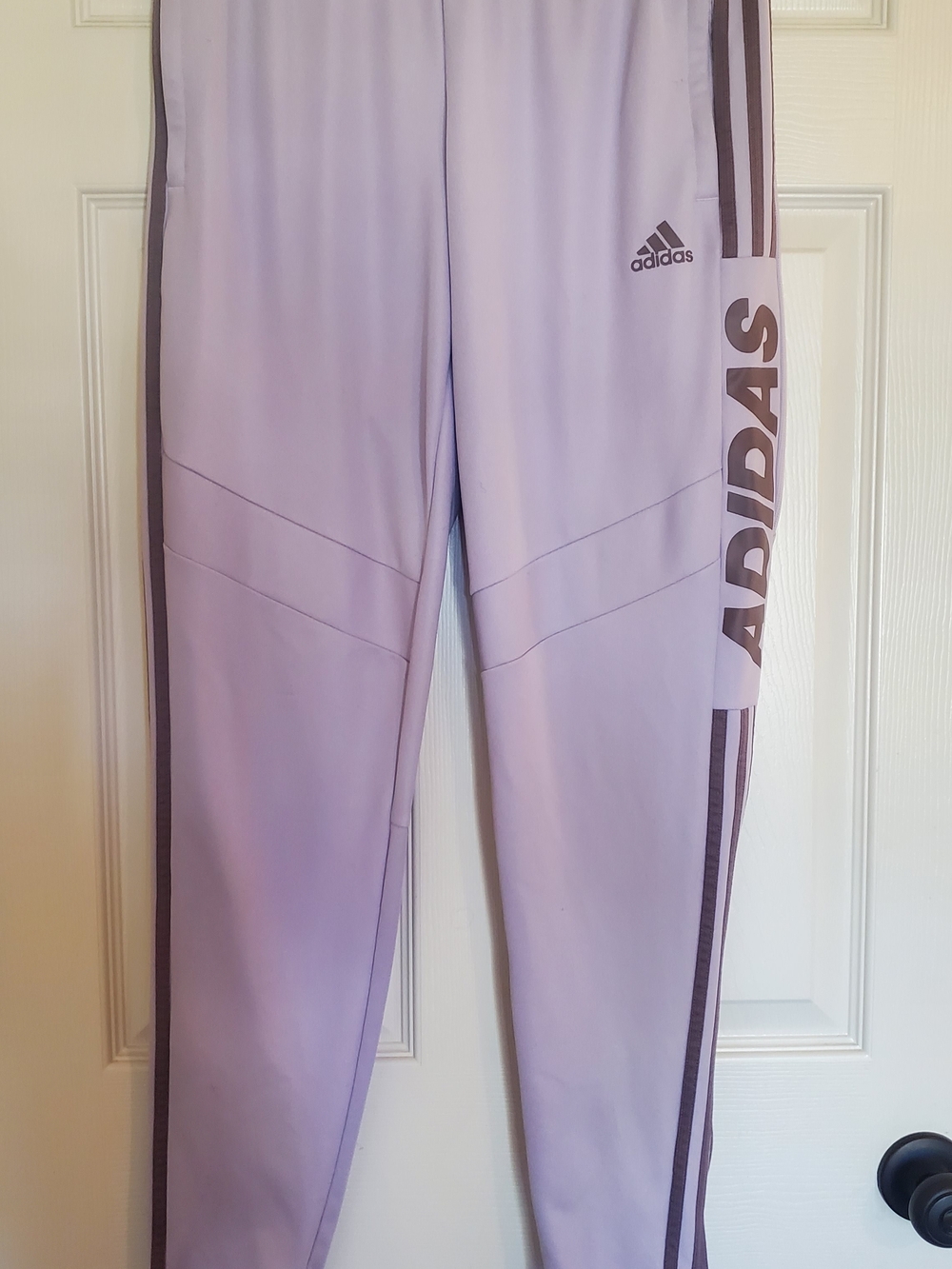 Adidas Tiro 19 Training Pants Joggers